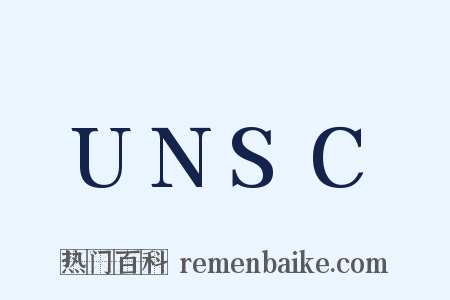 UNSC是什么意思的图片